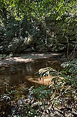 Kbal Spean, jungle landscapes along the path on the Kulen hills leading to the river 